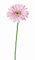 artplants.de Künstliche Blume Gerbera Helli, rosa, 65cm, Ø 12cm