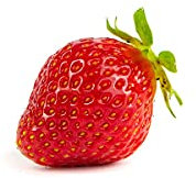 Erdbeerprofi - Erdbeere Korona - 10 Erdbeerpflanzen/Erdbeersetzlinge - gut durchwurzelt - Pflanzzeit: August - September; Ernte: Juni