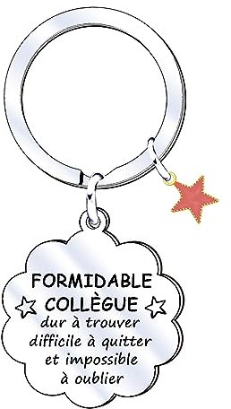 QTQTLP Cadeau Collègue Porte Clés Collegue Cadeau de Travail Porte Clef Départ Idee Cadeau Collegue Meilleur Amie Cadeau Anniversaire Porte cles Amitié Cadeau Collegue Original Argenté (1)