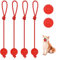 HFDONGL 6 Stück Hundeball Hundespielzeug Ball Hund Ball mit Schnur Naturkautschuk Hunde Ball Weich und Elastisch Hundebälle für Haustiere Hunde Ausbildung Spielen Übung