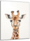 DARO Design - Wand-Bild Abstrakt Giraffe auf 6mm HDF 84x56 cm - Wand-Deko Bilder Geschenk