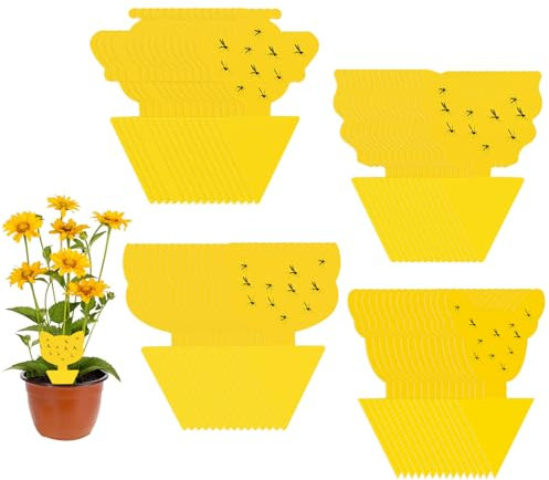 60x Fliegenfalle Gelbsticker, Fruchtfliegenfalle, Fliegen FäNger, Gelbtafeln für die Zimmerpflanzen SchäDlingsbekäMpfung, Obstfliegenfalle Gegen TrauermüCken, Nematoden, BlattläUse, Minierfliegen