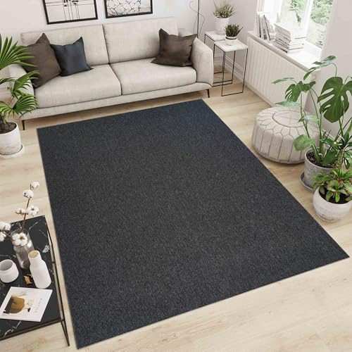 Simple Low Pile Rugs Living Room – Modern Tufted Area Rugs for Living Room with Felt Backing Dark Grey 200x290 cm