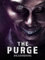 The Purge - Die Säuberung