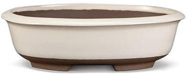 Certrè - Vaso Bonsai Ovale in Gres, Modello Treviso, Made in Italy, Colore Panna (Smaltato)| 16x12,5x6 cm