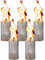 Schwedenfeuer 5 Stück Baumfackel Finnenfackel Gartenfackel Fackel H 35 cm D 14-20 cm