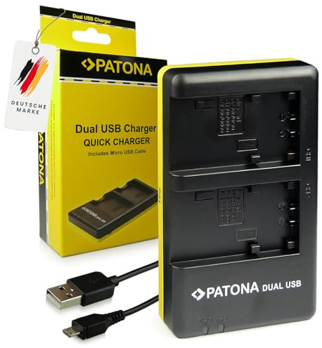 PATONA Caricabatteria Doppio Compatibile con Sony NP-FH30 NP-FH40 NP-FH50 NP-FH60 NP-FH70 NP-FH100 Batterie