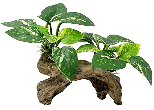 Smoothedo-Pets Aquarium-Dekoration, Betta-Blatt-Pad, Hängematte, Treibholz-Ornamente (Typ C) (GZDY)
