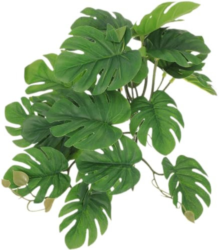 Ventouses pour Plantes Suspendues Terrarium en Cascades De Terrariums Accessoires De Réservoir De Serpent Plantes De Terrarium pour Reptiles Intérieur Pendaison Rotin Plastique