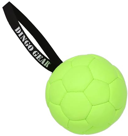 Dingo Gear Aufblasbarer Ball mit Pumpe, Grün Neon, 18 cm Durchmesser | Eco Leder, Mit Schlaufe, Hundespielzeug, Training, Z30034
