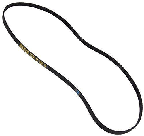 Auténtica Taurus lavadora 1230 J5 polyvee Drive Cinturón (Longitud 1230 mm)