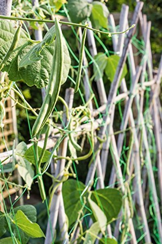 4m x 2m Green Pea & Bean Net