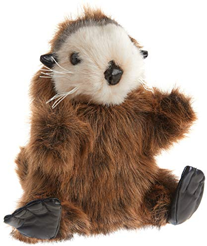 Seeotter-Baby/Baby Sea Otter