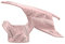BRP Can-Am Spyder Roadster Paneel-Set Pink Bloom 219401070