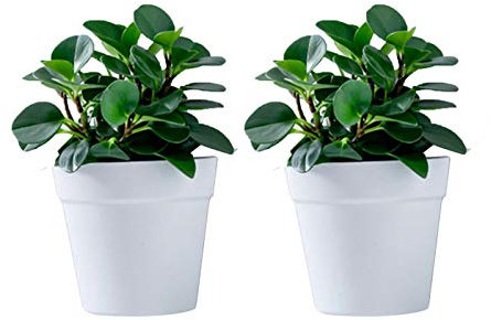 Atlnso Lot de 2 pots de fleurs muraux en plastique à suspendre pour l'intérieur, l'extérieur, le jardin, le balcon, blanc crème, gris