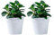 Atlnso Lot de 2 pots de fleurs muraux en plastique à suspendre pour l'intérieur, l'extérieur, le jardin, le balcon, blanc crème, gris