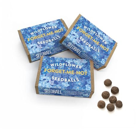 SEEDBALL Forget-Me-Not Wildflower Seeds - 3X Seed Boxes with 6 Wild Flower Seed Balls Per Box and Over 500 Seeds in Total | Greyish Blue Flowers | Bee Friendly Seed Bombs for Bees & Garden Wildlife