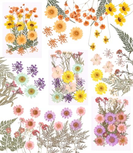 62 Stück Gepresste Blumen,Getrocknete Blumen,Gepresste Blüten,DIY Getrocknete Blumen Design