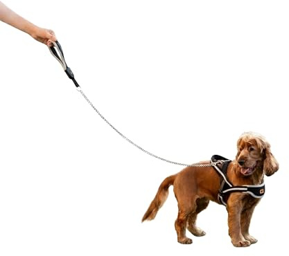 Ferplast Anti-bite Metal Dog Leash ERGOCOMFORT METAL, Ergonomic Handle, Soft padding, Length 105 cm.