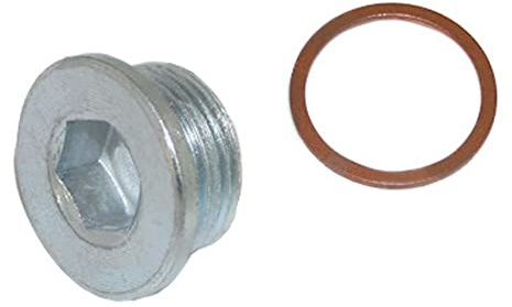 FA1 257.809.011 Locking Screw, Oil Sump Screw Oil Drain Screw