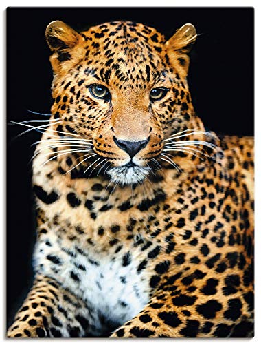 ARTland Wanddeko Leinwand Bilder Wandbild 30x40 cm Tiere Wildtiere Leopard Fotografie Schwarz Wütender wilder Leopard S7NI