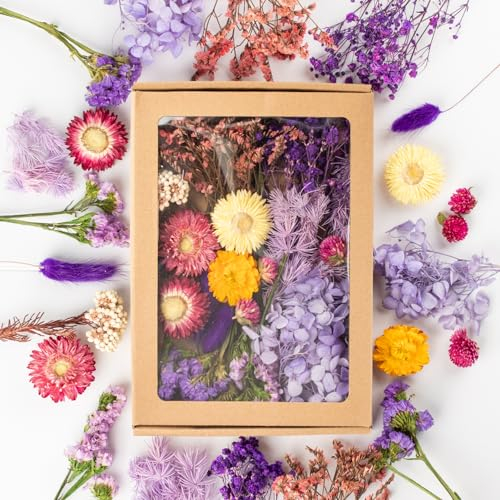 LAUMOE Getrocknete Blumen, Trockenblumen, Trockenblumen Zum Basteln Mini Trockenblume Bunt Set für Tischdeko DIY Epoxidharz Scrapbook Zubehör (H3)