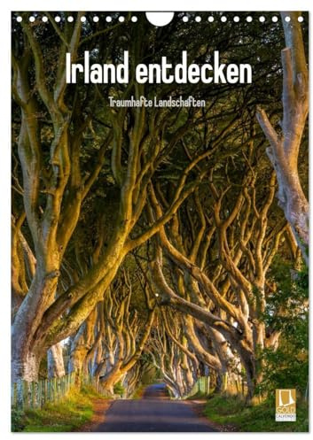 Irland entdecken (Wandkalender 2026 DIN A4 hoch), CALVENDO Monatskalender: Irische Landschaften (CALVENDO Natur)