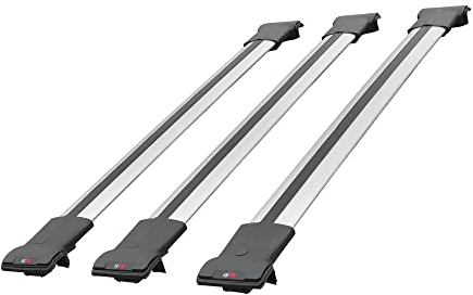 RE&AR Tuning Kompatibel mit Citroen Berlingo 3 (K9) 2019-2022 Fly Model Relingträger Dachträger Auto Gepäckträger Grau Aluminium 3 Stangen