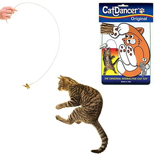 CAT DANCER 101