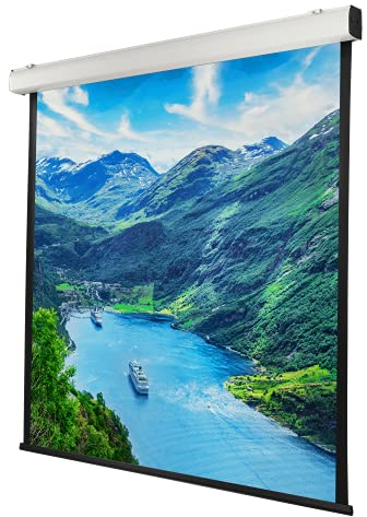 celexon Expert XL Motor-Leinwand 165 | 300x300 cm 1:1 | elektrische 8K, Full-HD Installations-Leinwand für jahrelange Projektionsfreude mit Ihrem Beamer | geeignet zur Decken- und Wand-Montage