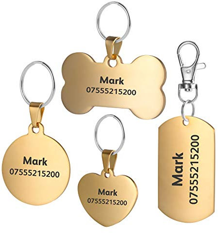 BKDZ in Acciaio Inox Pet ID Etichette, Etichette e del Cane Gatto Etichette Personalizzato. Anteriore e Posteriore Engraving.(L, Cerchio d'oro)