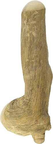 Chewies Kaustab für Hunde - Kauknochen aus Kaffeeholz - splitterfrei und langlebig - natürliches Kauspielzeug - Größe L: Für Hunde ab 20 kg Körpergewicht