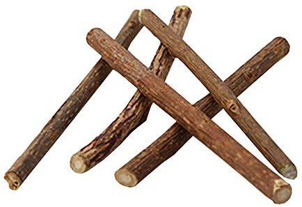 Yicare Katzenminze Sticks 10 Stück Matatabi-Kausticks als Katzenspielzeug für die natürliche Katzen Zahnpflege Dental Kau-Sticks helfen bei Zahnstein Mundgeruch