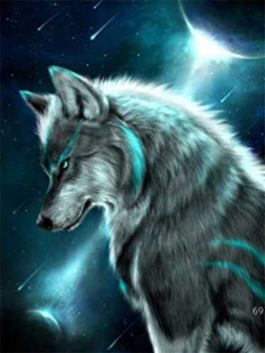 Meecaa Diamond Painting Set Full Bilder Wolf Tier Mond Urwald, 5D Diamant Painting Diamant Malerei mit Zubehör 30x40cm (Wolf 1)