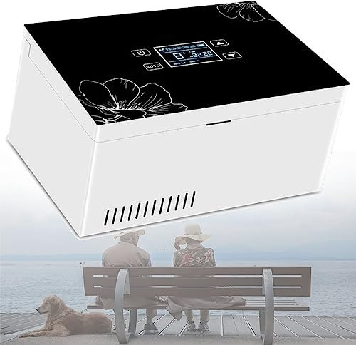 Caja Nevera Portátil Para Insulina Medicamentos,Nevera portátil para insulina,Enfriador De Insulina,Twobatteries