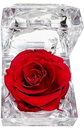 Sarini Fiori per Sempre Scatole per Anelli di Rose Scatole Regalo di Rose Rosse conservate Regali di Compleanno di Anniversario di San Valentino per Famiglia, Moglie, Fidanzata, Mamma