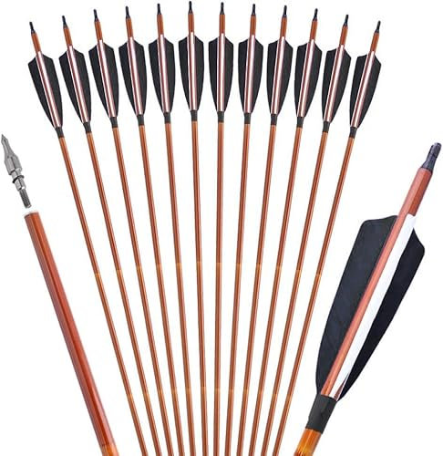 12 Stück 32 Zoll Carbon Pfeile für Bogenschießen Naturfedern Langbogen oder Compoundbögen Carbonpfeile mit Austauschbare (Schwarz)