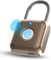Anweller Cadenas à empreintes digitales - Cadenas intelligent avec empreinte digitale - Petit - Pour salle de gym, bureau, armoire, etc. - Doré
