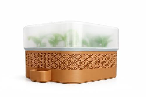 Alupedia Selbstbewässerndes Anzuchtset – 6 Pflanztöpfe mit Wasserspeicher & Feuchtigkeitskuppel – Modernes Kräuter- & Gemüse-Keimset für Fensterbank & Balkon (Caramel, 6-Topf)