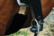 Engel Reitsport | Lammfell Bauchgurtschoner 60x12cm Fell schwarz (Bagu)