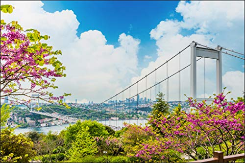 Muralo Fototapete Architektur 60 x 90 cm Vliestapete Wand Tapete Meer Bäume Istanbul Brücke Himmel Wohnzimmer Schlafzimmer Moderne Wandbild Abstraktion Wand Dekoration