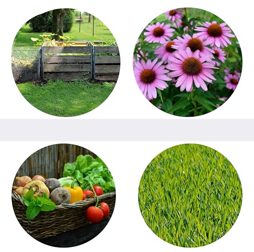 25 kg Urgesteinsmehl als Bio Universal Dünger mit Langzeitwirkung für Obst, Gemüse und Zierpflanzen Rasendünger Kompostbeschleuniger Streucher Naturbasis