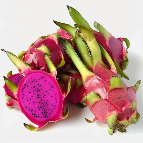 60 Semillas de Fruta del Dragón (Pitaya) - SemiSauvage Permacultura