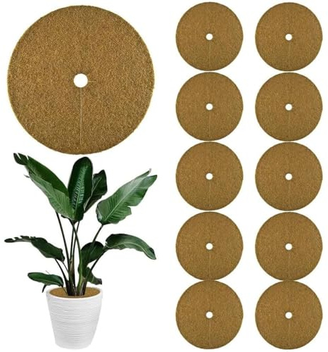 ZDQC 10 discos de coco, diámetro de 20 cm, disco de coco, cubierta de coco, protección para plantas de coco, protección de invierno para plantas en macetas, fibra de coco, protección invernal de coco