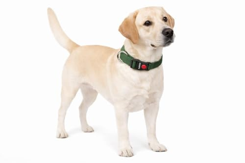 Halsband Hund - ziggi kaki - größe L - 45-65 cm x 25 mm - Nylon hundehalsband verstellbar mit klickverschluss und metallring