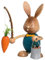Drechslerei Kuhnert Kuhnert Hase Stupsi als Möhrenangler 12 cm 52214 Neuheit 2015
