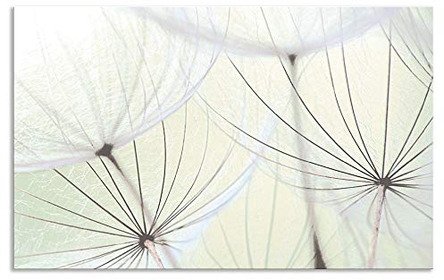 ARTland Spritzschutz Küchenrückwand aus Alu für Küche Herd Spüle 80x50 cm (BxH) mit Motiv Blume Pusteblume Landschaft Natur Zen Modern Hell Grün S9MV