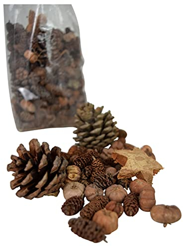 CHICCIE Pot-pourri - Plantes séchées naturelles - 20 cm - Décoration d'automne - Décoration naturelle