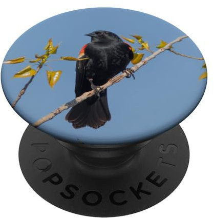 Rotgeflügelte Amsel PopSockets mit austauschbarem PopGrip