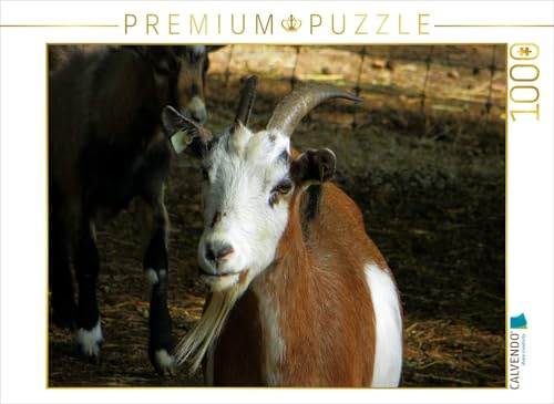 CALVENDO Puzzle Freche Ziegenböcke | 1000 Teile Lege-Größe 64 x 48 cm Foto-Puzzle für glückliche Stunden